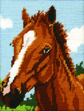 Load image into Gallery viewer, Brown Horse (Tapestry Kit)