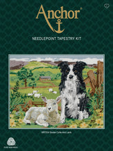 Load image into Gallery viewer, Border Collie and Lamb (Tapestry Kit)