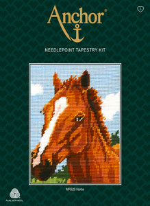 Brown Horse (Tapestry Kit)