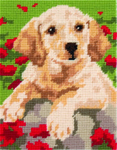 Load image into Gallery viewer, Labrador Puppy (Tapestry Kit)
