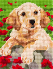 Load image into Gallery viewer, Labrador Puppy (Tapestry Kit)