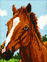 Load image into Gallery viewer, Brown Horse (Tapestry Kit)
