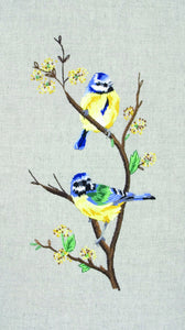 Blue Tits (Freestyle Embroidery Kit)